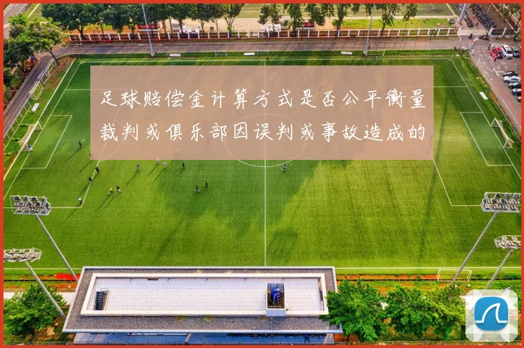 足球赔偿金计算方式是否公平衡量裁判或俱乐部因误判或事故造成的经济损失